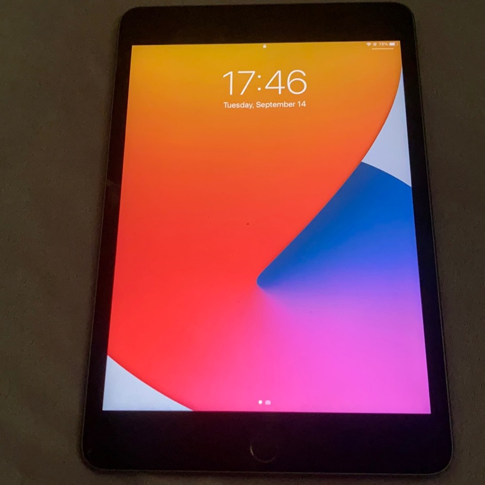 Space Gray iPad mini 5 for sale!